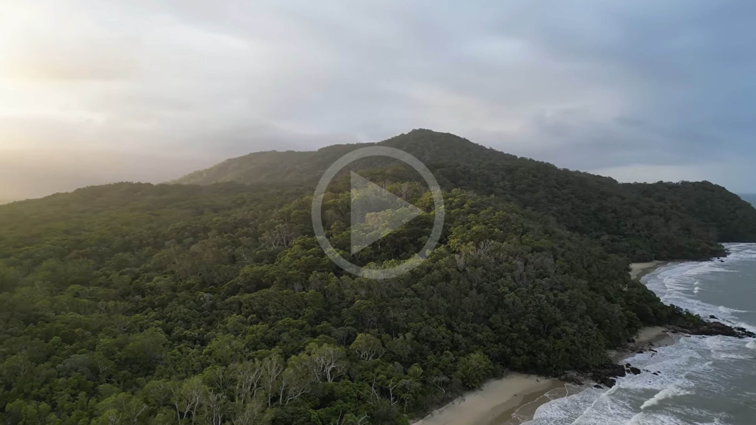 daintree forest drone shot