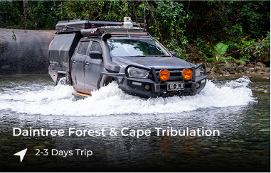 Daintree and Cape Tribulation, QLD