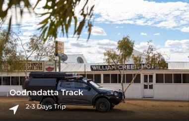 The Oodnadatta Track