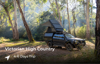 Victorian High Country (Pineapple Flat, Craig's Hut, Monument Track, Howqua Hills)